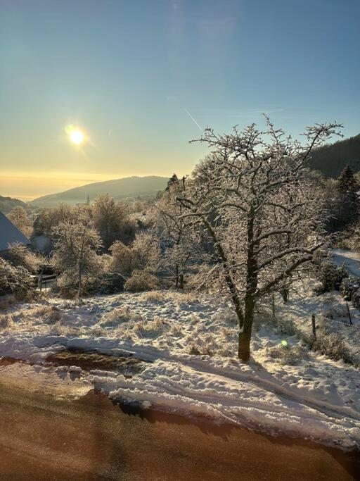 Gite Belle Vue Thannenkirch Exteriér fotografie